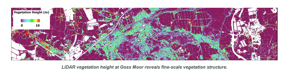screengrab LiDAR