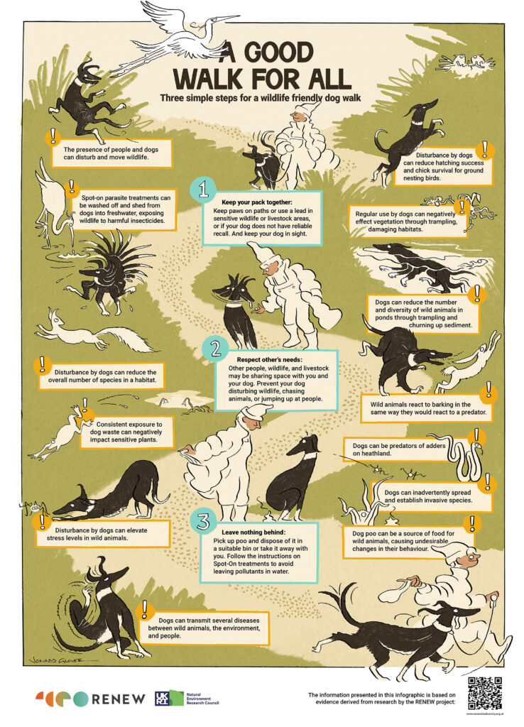 A poster providing informed guidance to dog walkers, promoting positive habits and ways to walk your dog without impacting nature and biodiversity.