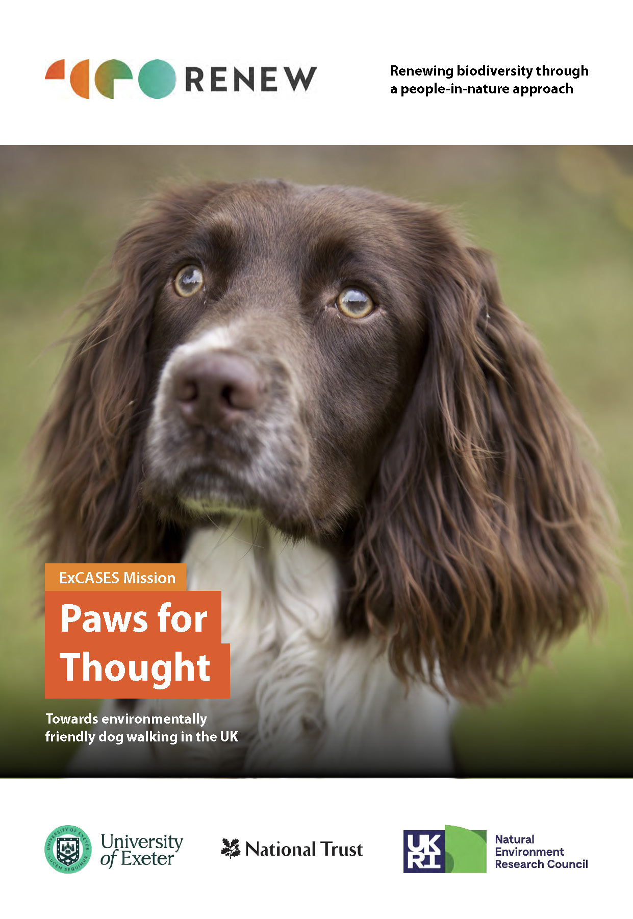 A report frontpage with a picture of a dog looking up at an owner. The page acts as a link to download the report.
