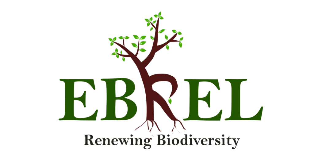 An image of the Ebrel logo with a tree forming the letter R, & the tagline 'Renewing Biodiversity,'