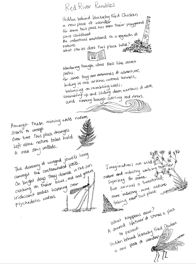 An image of Em Squires drawings observed during the walk words are illustrated with pictures of plants and river water, flowers and insects.