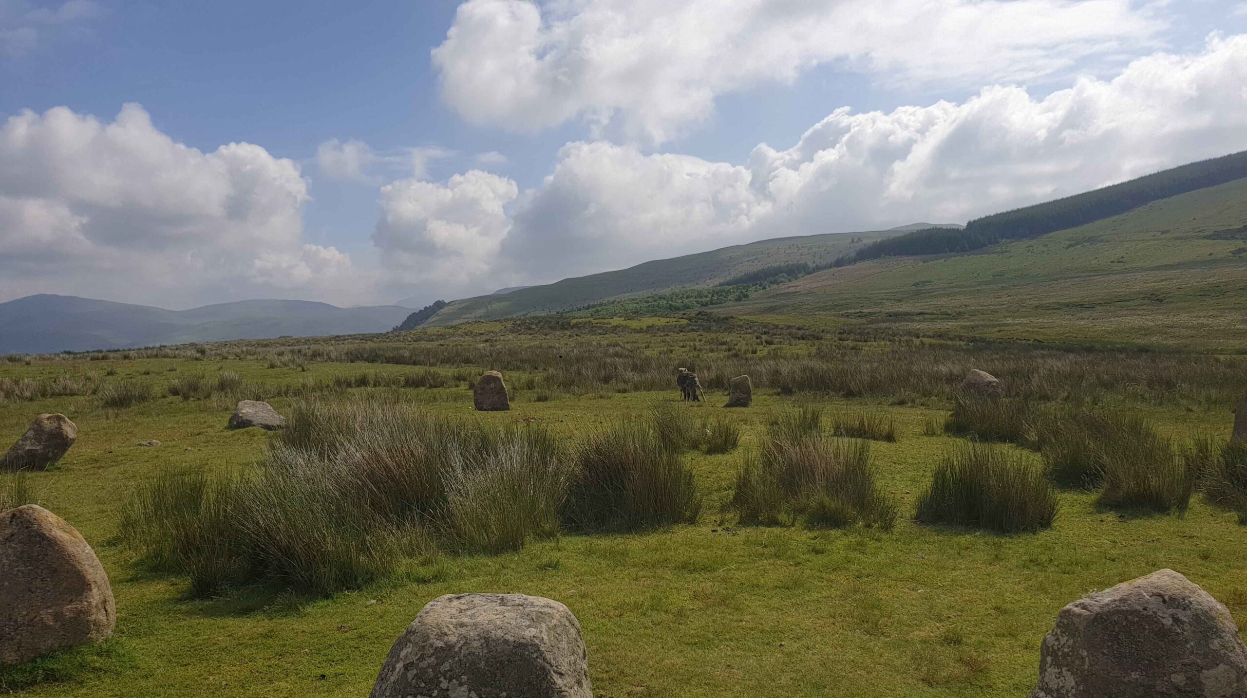 A landscape photograph by Jo Furtado showing hills and granite rockery indicative of Kinniside.