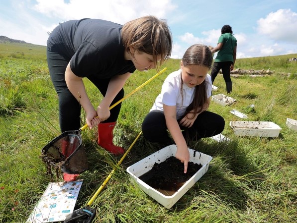 A photograph of children exploring critters discovered in one of the bogs on Dartmoor