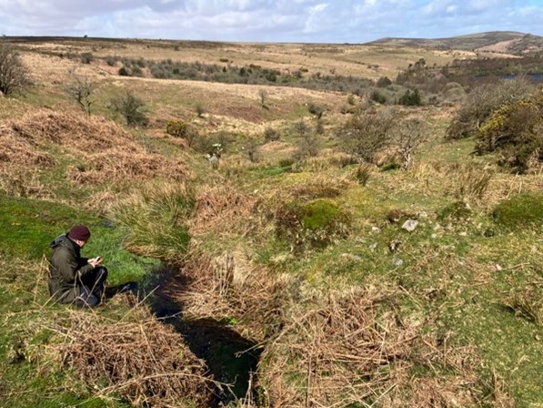 A photograph of a bog in tin workings at Venford Reservoir