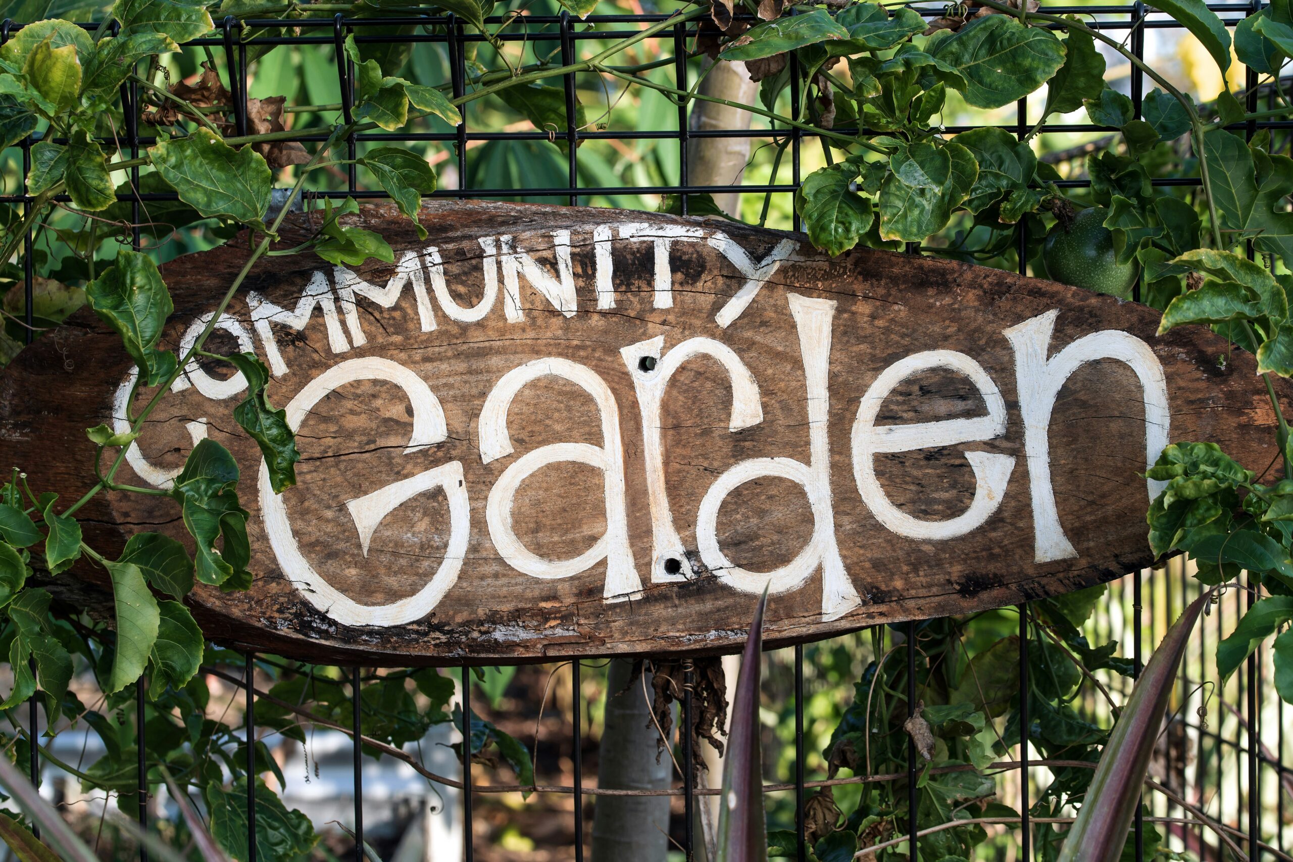 A sign saying Community Garden amongst green foliage