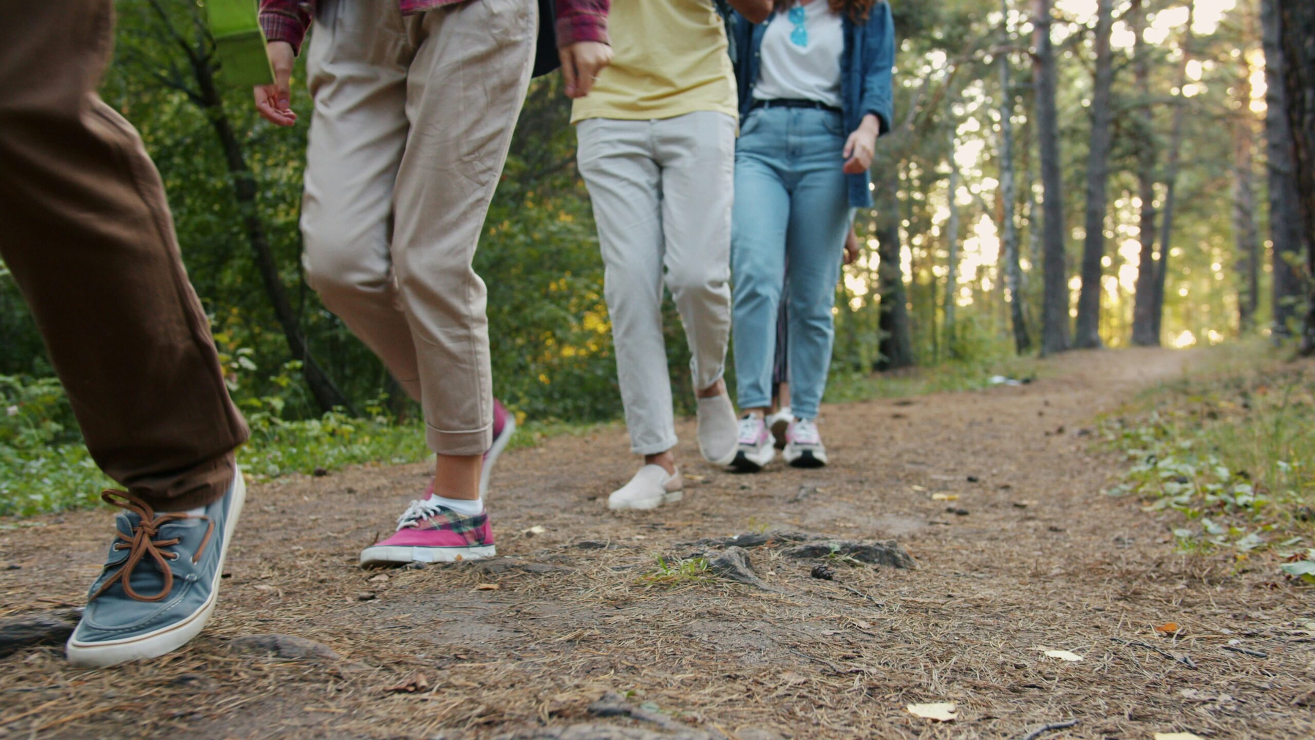 Four people from the waist downwards walking on a forest path