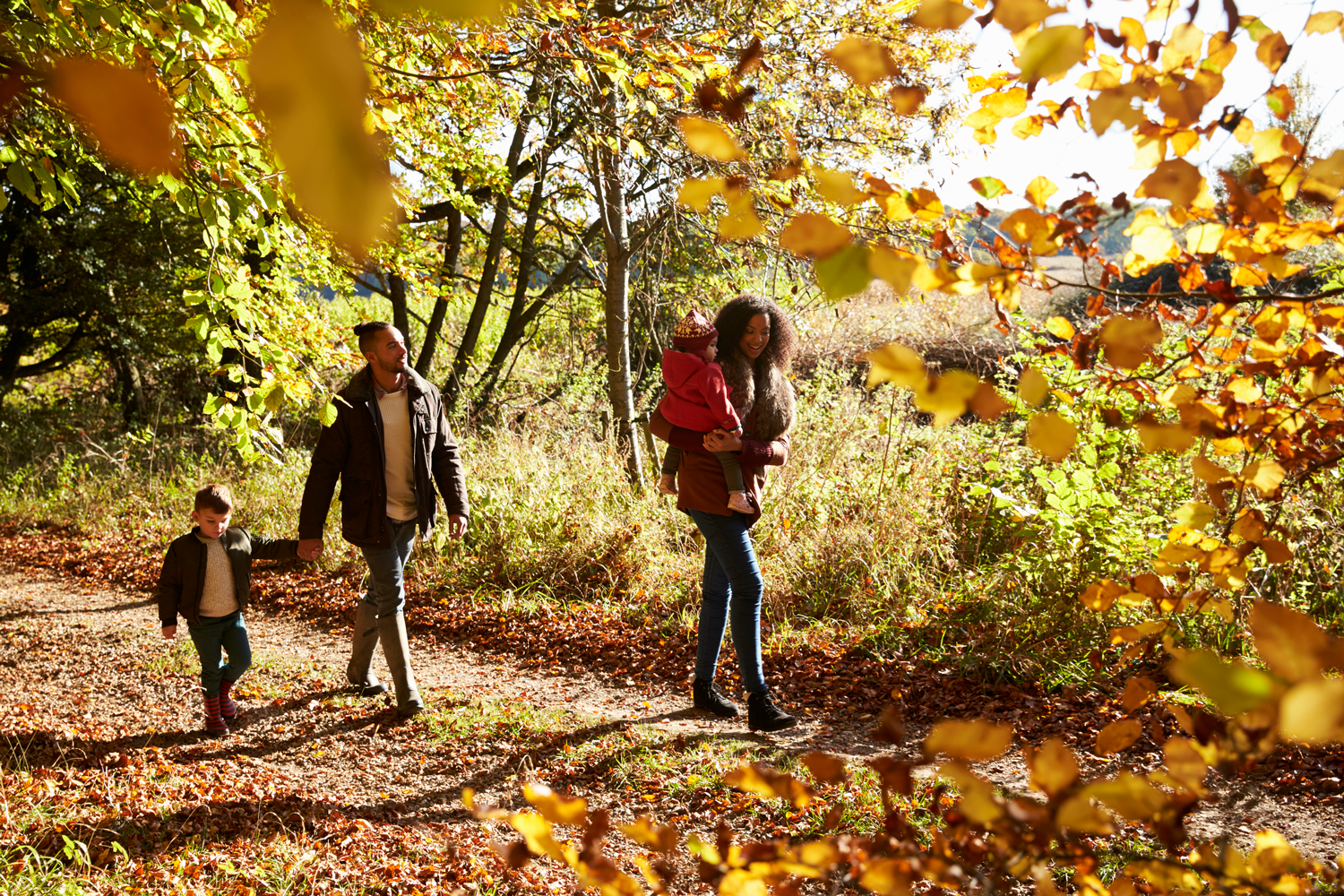 A family walking in nature